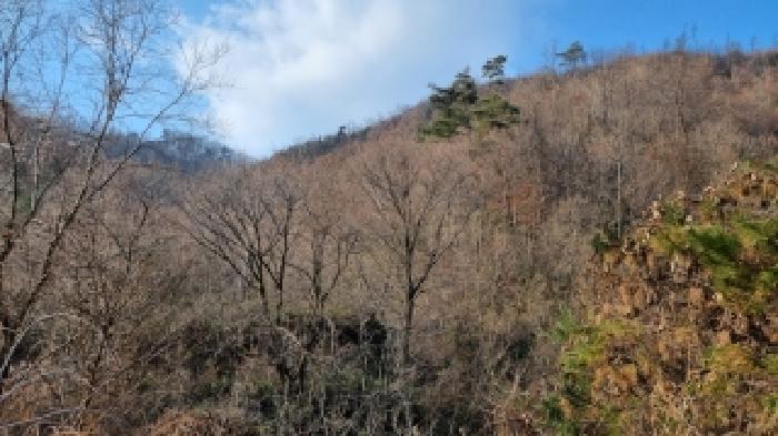 전북 장수군 장계면 대지,임야,전답 경매 물건 사진 5 · 2025타경30295