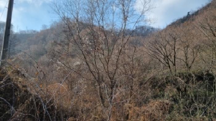전북 장수군 장계면 대지,임야,전답 경매 물건 사진 6 · 2025타경30295