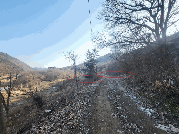전북 순창군 구림면 임야 경매 물건 사진 6 · 2026타경10