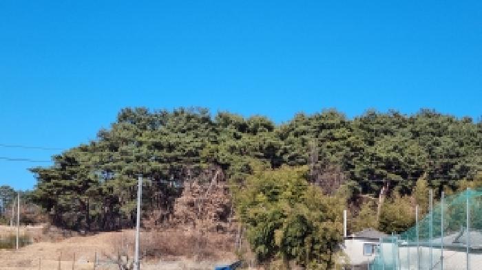 전북 남원시 용정동 임야 경매 물건 사진 6 · 2026타경30025