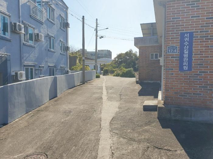 제주 서귀포시 표선면 도로 경매 물건 사진 3 · 2024타경12967