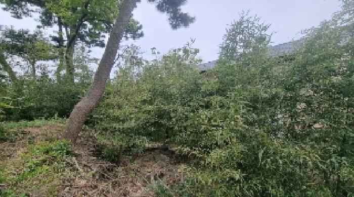 제주 서귀포시 남원읍 과수원 경매 물건 사진 2 · 2025타경1146