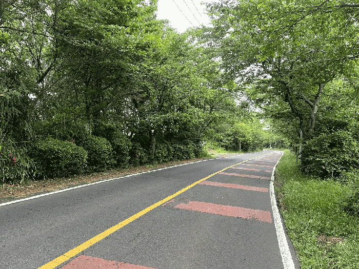 제주 제주시 봉개동 임야 경매 물건 사진 5 · 2025타경1258