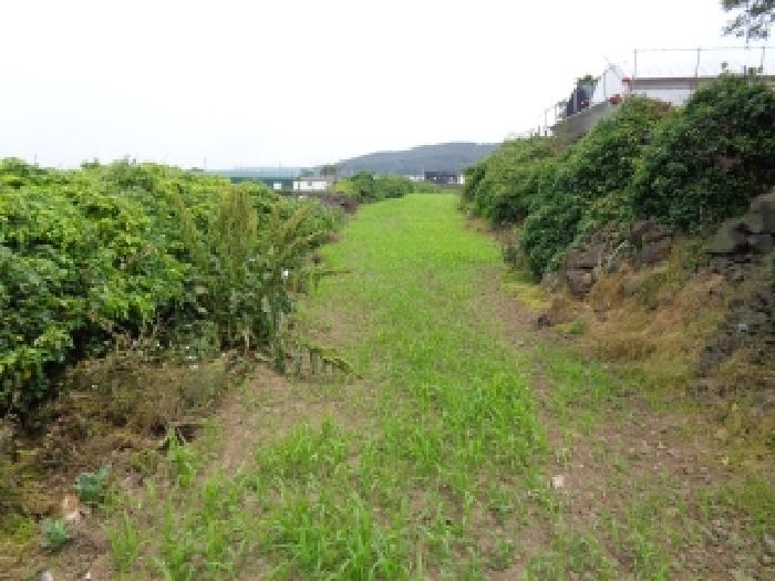 제주 제주시 한림읍 전 경매 물건 사진