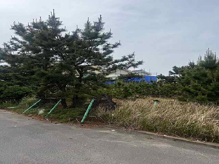 제주 제주시 애월읍 전 경매 물건 사진 4 · 2025타경1283
