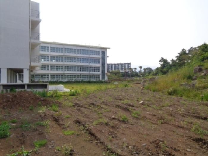 제주 제주시 애월읍 상가,오피스텔,근린시설 경매 물건 사진 5 · 2025타경1345