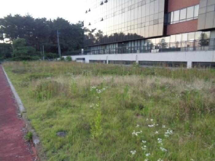 제주 제주시 노형동 대지 경매 물건 사진 2 · 2025타경1394