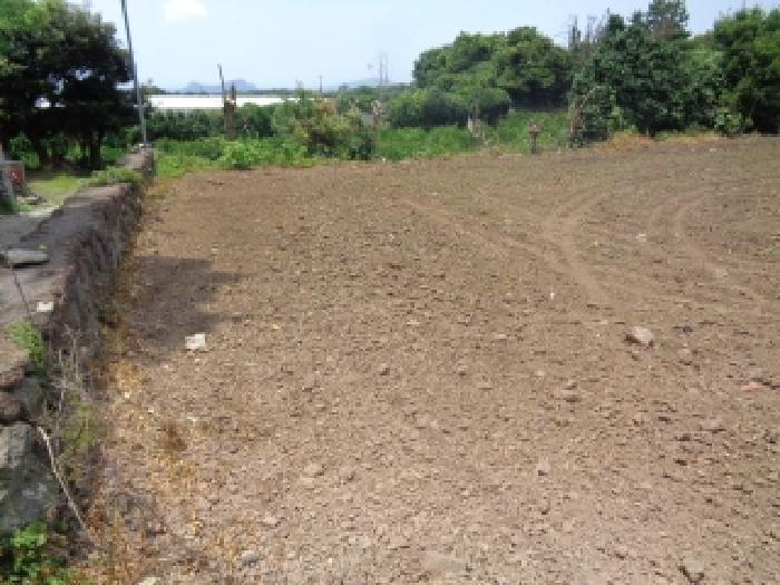 제주 서귀포시 안덕면 동물및식물관련시설 경매 물건 사진 3 · 2025타경1410