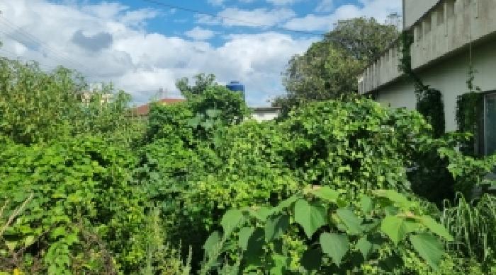 제주 서귀포시 남원읍 대지 경매 물건 사진 3 · 2025타경1590