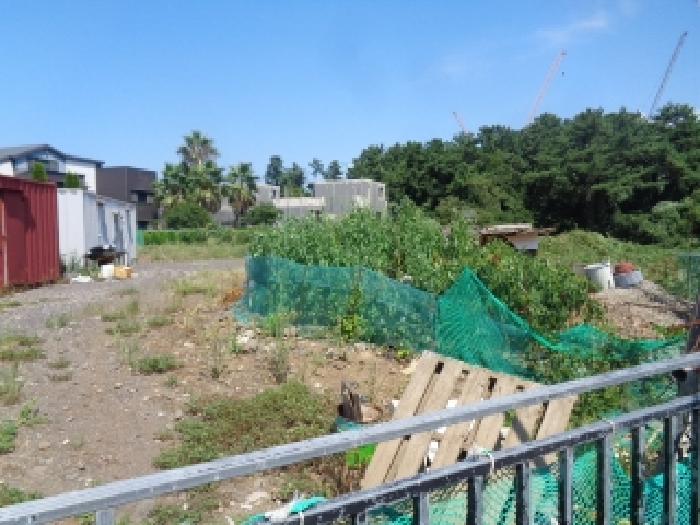 제주 제주시 오라이동 과수원 경매 물건 사진 2 · 2025타경1626