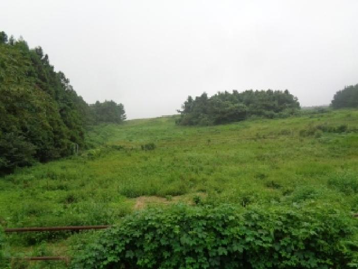 제주 제주시 애월읍 대지,임야,전답 경매 물건 사진
