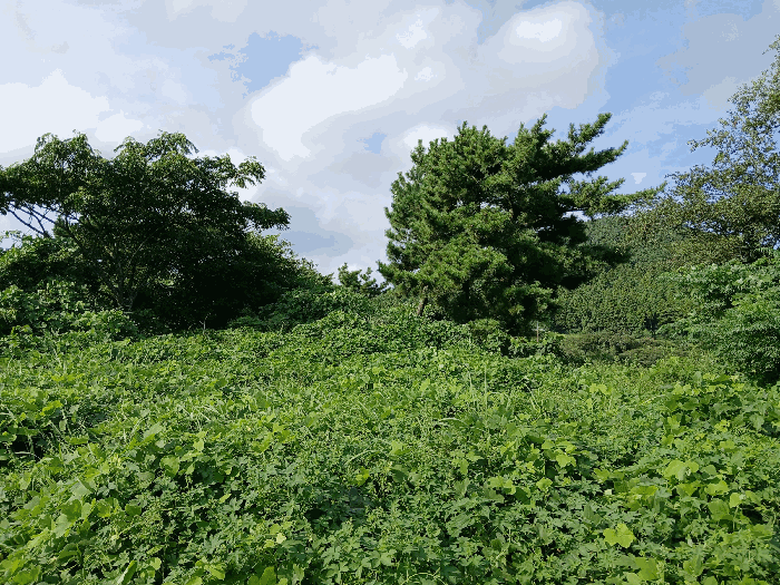 제주 제주시 한림읍 잡종지 경매 물건 사진 3 · 2025타경1692