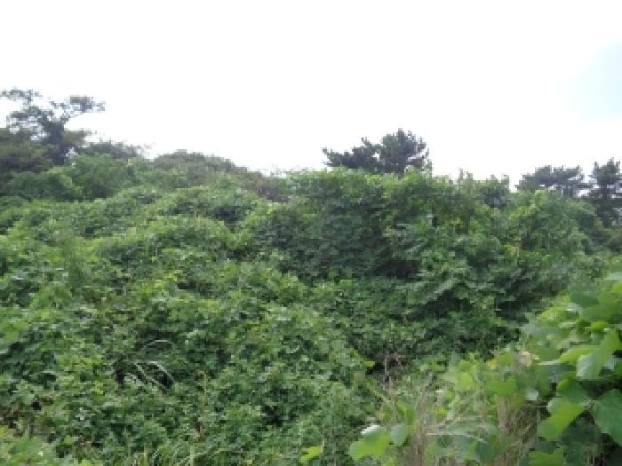 제주 제주시 한림읍 잡종지 경매 물건 사진