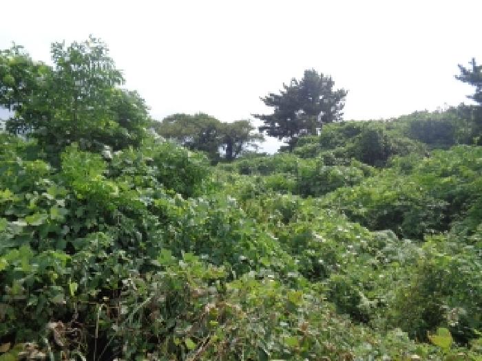제주 제주시 한림읍 잡종지 경매 물건 사진 2 · 2025타경1692