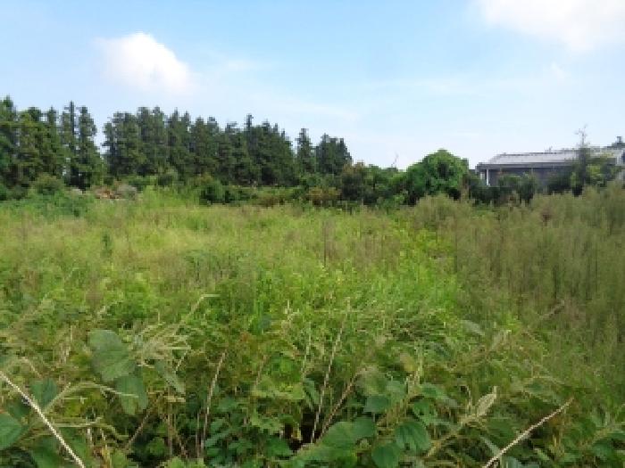 제주 서귀포시 안덕면 전 경매 물건 사진