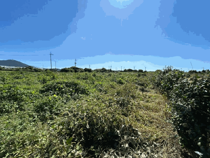 제주 제주시 한림읍 임야 경매 물건 사진 6 · 2025타경1732