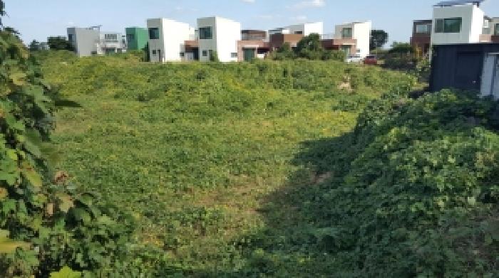 제주 제주시 구좌읍 전답 경매 물건 사진