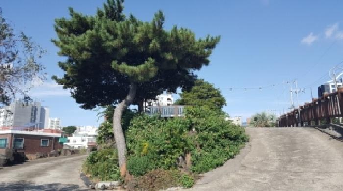 제주 서귀포시 서귀동 근린생활시설 경매 물건 사진