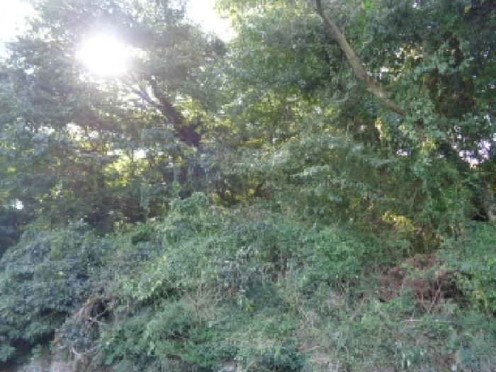 제주 서귀포시 안덕면 임야 경매 물건 사진