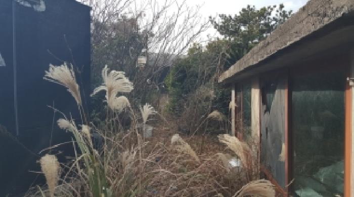 제주 서귀포시 성산읍 동물및식물관련시설 경매 물건 사진 6 · 2025타경1871