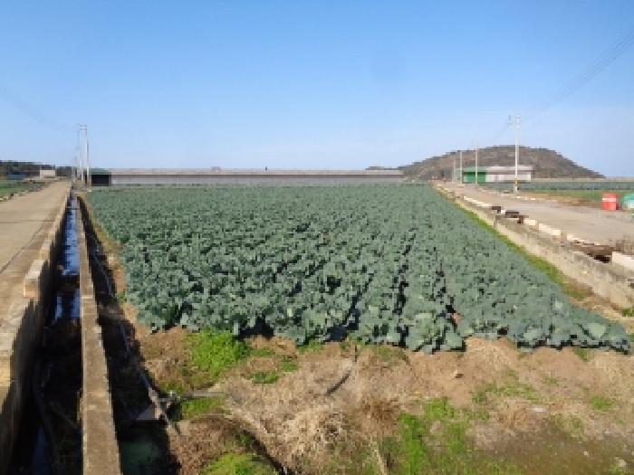 제주 제주시 한경면 전답 경매 물건 사진