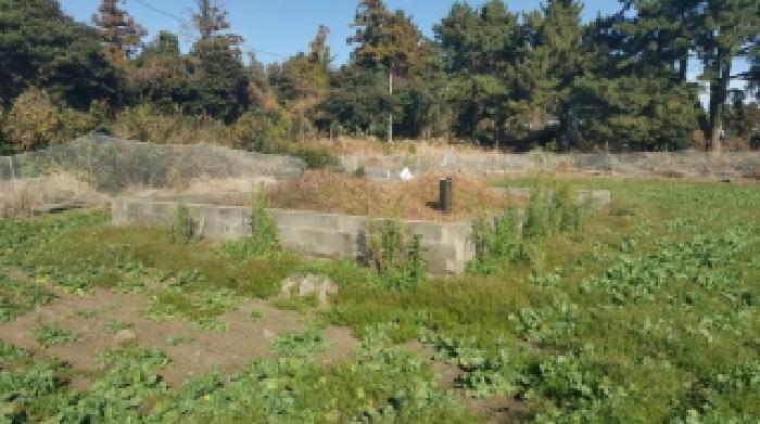 제주 서귀포시 성산읍 도로 경매 물건 사진 4 · 2025타경2018