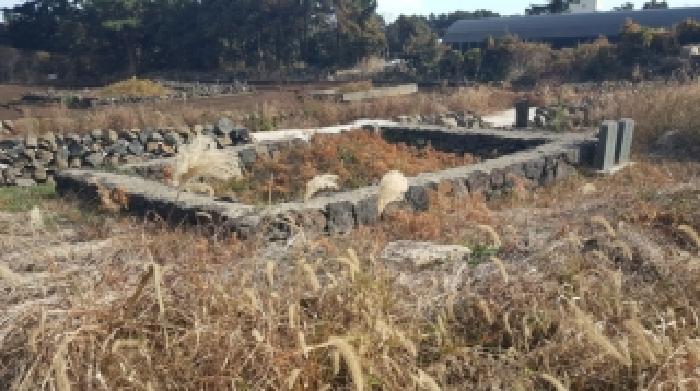 제주 서귀포시 성산읍 도로 경매 물건 사진 6 · 2025타경2018