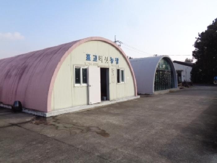 제주 서귀포시 안덕면 상가,오피스텔,근린시설 경매 물건 사진 4 · 2025타경2029