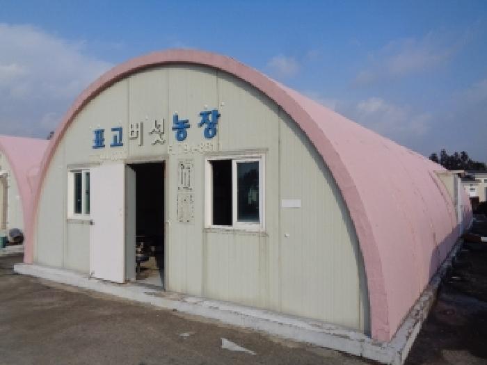 제주 서귀포시 안덕면 상가,오피스텔,근린시설 경매 물건 사진 6 · 2025타경2029