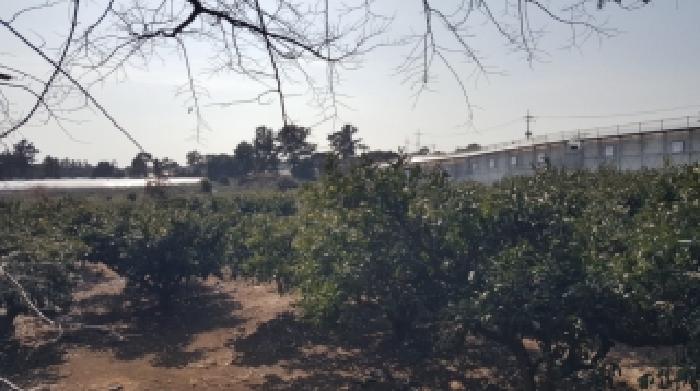 제주 서귀포시 남원읍 과수원 경매 물건 사진