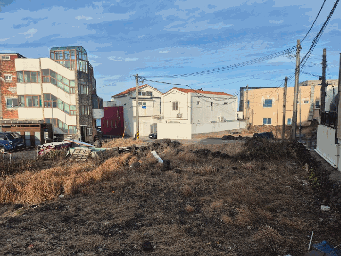제주 제주시 구좌읍 대지 경매 물건 사진 6 · 2025타경2055
