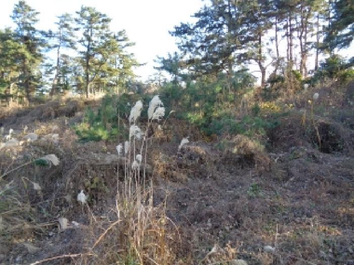 제주 제주시 한림읍 전 경매 물건 사진 6 · 2025타경2067