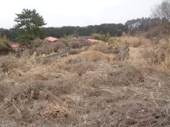 제주 제주시 애월읍 단독주택 경매 물건 사진