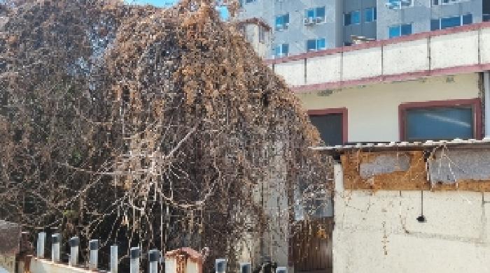 제주 서귀포시 서귀동 대지 경매 물건 사진