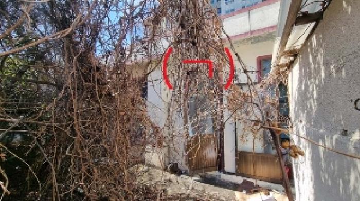 제주 서귀포시 서귀동 대지 경매 물건 사진 2 · 2025타경695