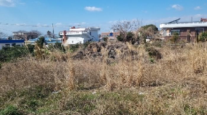 제주 서귀포시 남원읍 과수원 경매 물건 사진 2 · 2025타경7622