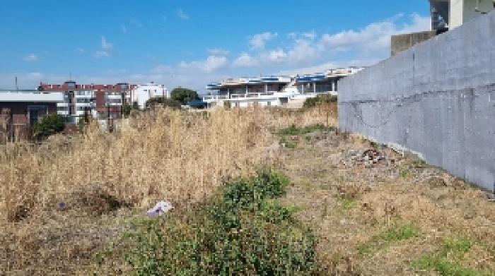 제주 서귀포시 남원읍 과수원 경매 물건 사진