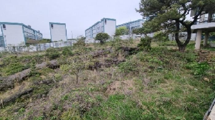 제주 서귀포시 토평동 근린시설 경매 물건 사진 6 · 2025타경7739