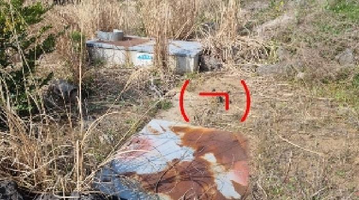 제주 서귀포시 표선면 창고시설 경매 물건 사진 2 · 2025타경7753