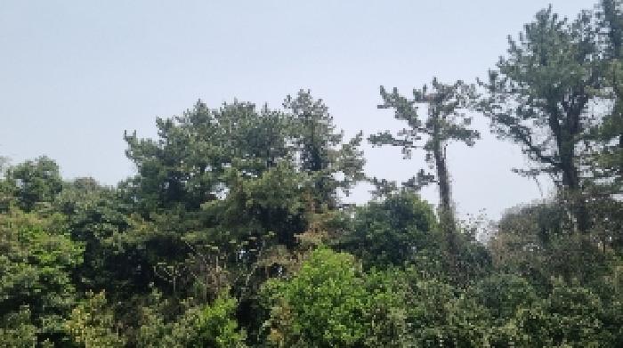 제주 서귀포시 성산읍 임야 경매 물건 사진 4 · 2025타경7828