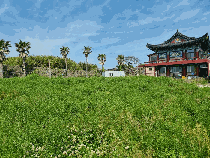 제주 서귀포시 표선면 전 경매 물건 사진 6 · 2025타경7854