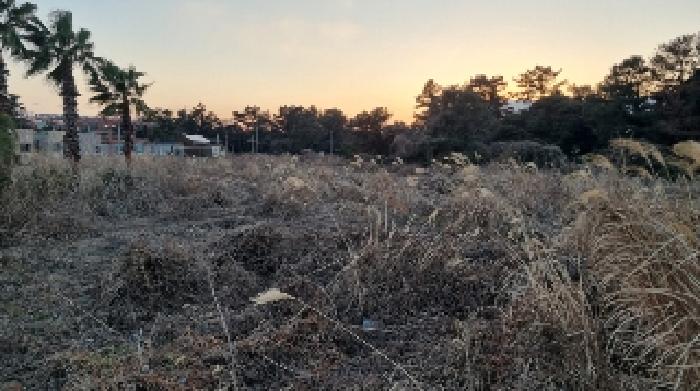 제주 제주시 구좌읍 답 경매 물건 사진