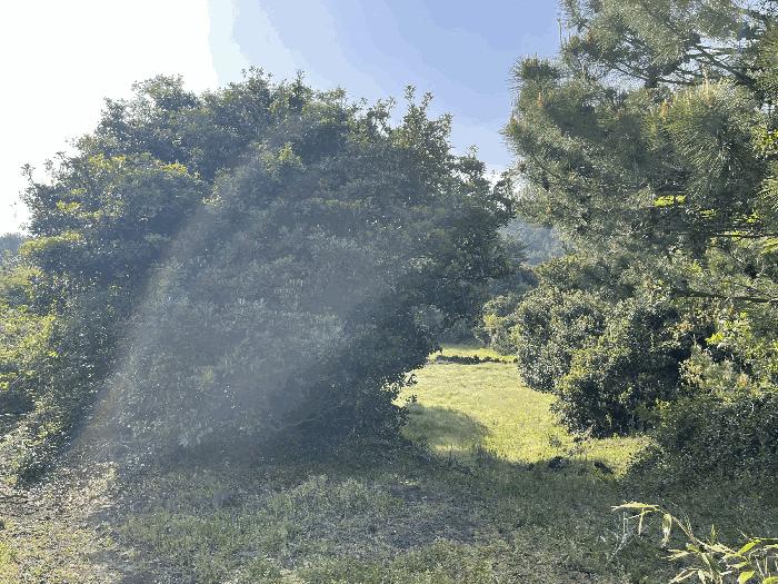 제주 서귀포시 성산읍 대지 경매 물건 사진 4 · 2025타경7893