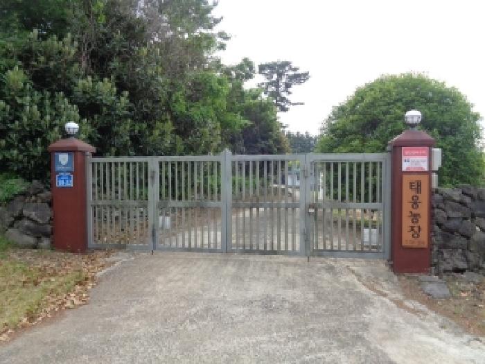 제주 제주시 아라일동 동물및식물관련시설 경매 물건 사진