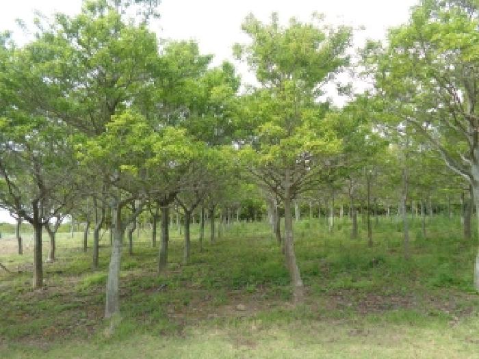 제주 제주시 아라일동 동물및식물관련시설 경매 물건 사진 4 · 2025타경7988