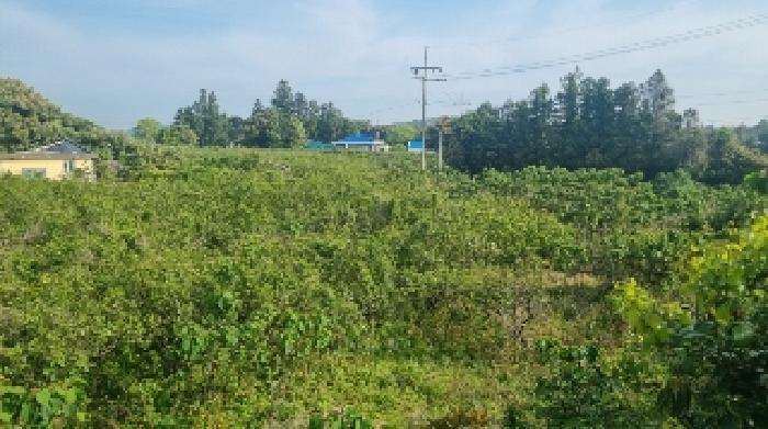 제주 서귀포시 표선면 동물및식물관련시설 경매 물건 사진 3 · 2025타경8019
