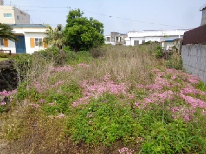 제주 제주시 애월읍 대지 경매 물건 사진