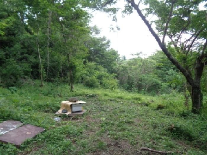 제주 제주시 애월읍 임야 경매 물건 사진 5 · 2025타경8087