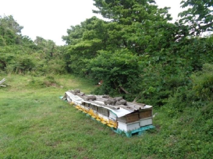제주 제주시 애월읍 임야 경매 물건 사진 6 · 2025타경8087
