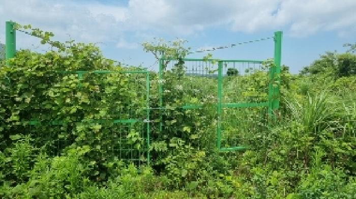 제주 제주시 구좌읍 대지,임야,전답 경매 물건 사진
